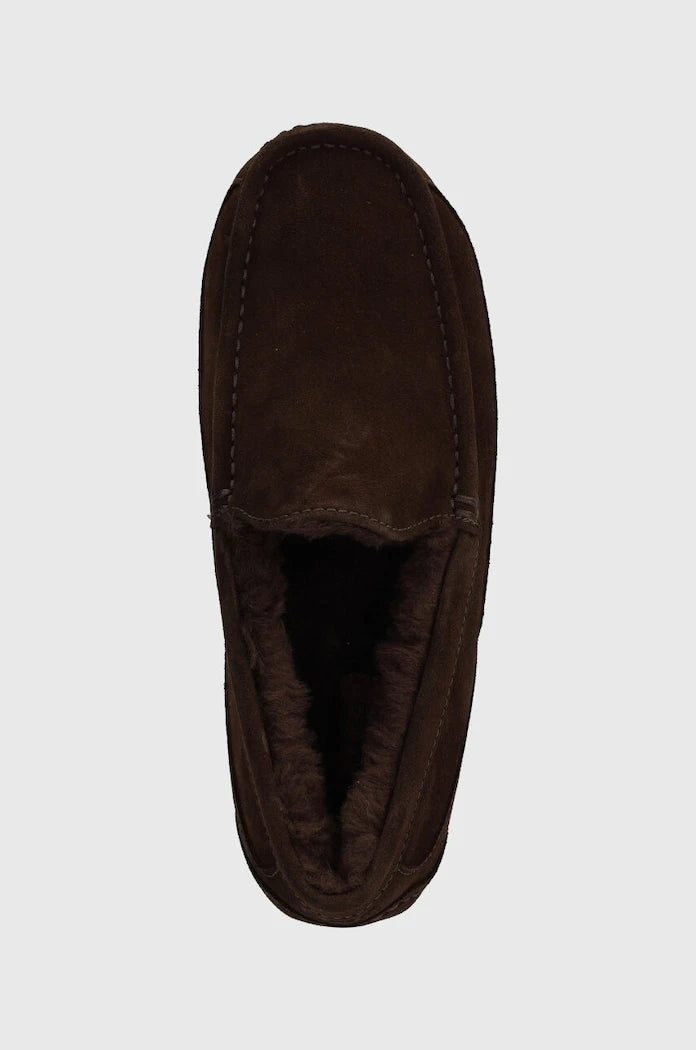Велурени пантофи UGG Ascot