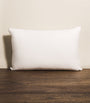 Medium/Firm Canadian Goose Down Pillow (50cm x 75cm)