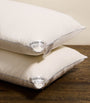 Kensington Down-Filled Pillow (50cm x 90cm)