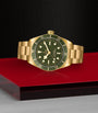 TUDOR Black Bay Yellow Gold Watch 39mm