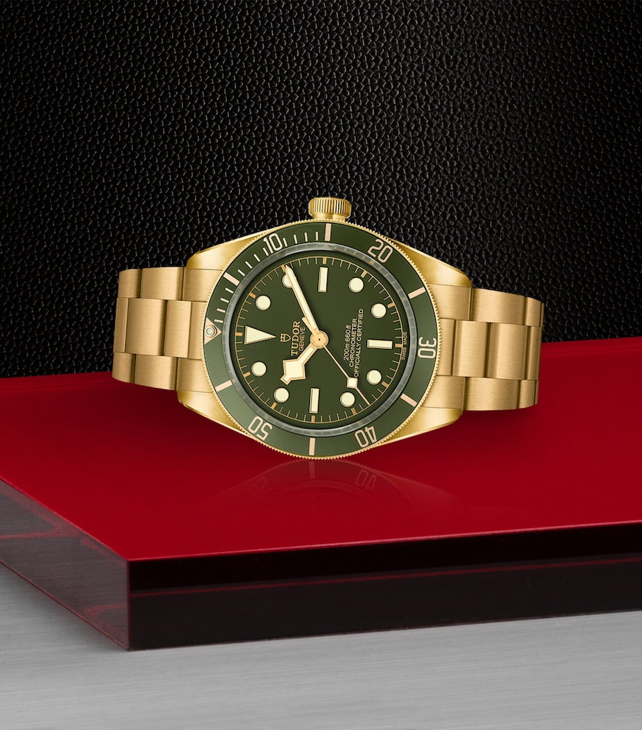 TUDOR Black Bay Yellow Gold Watch 39mm