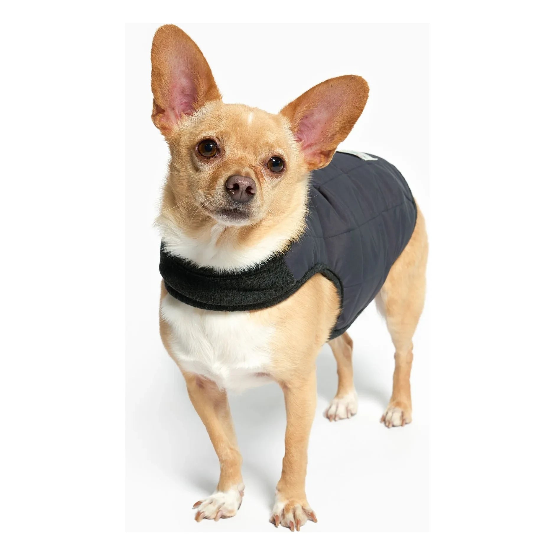 The Furry Folks - Reversible down jacket | Black