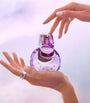 Omnia Amethyste Eau de Toilette (100ml)