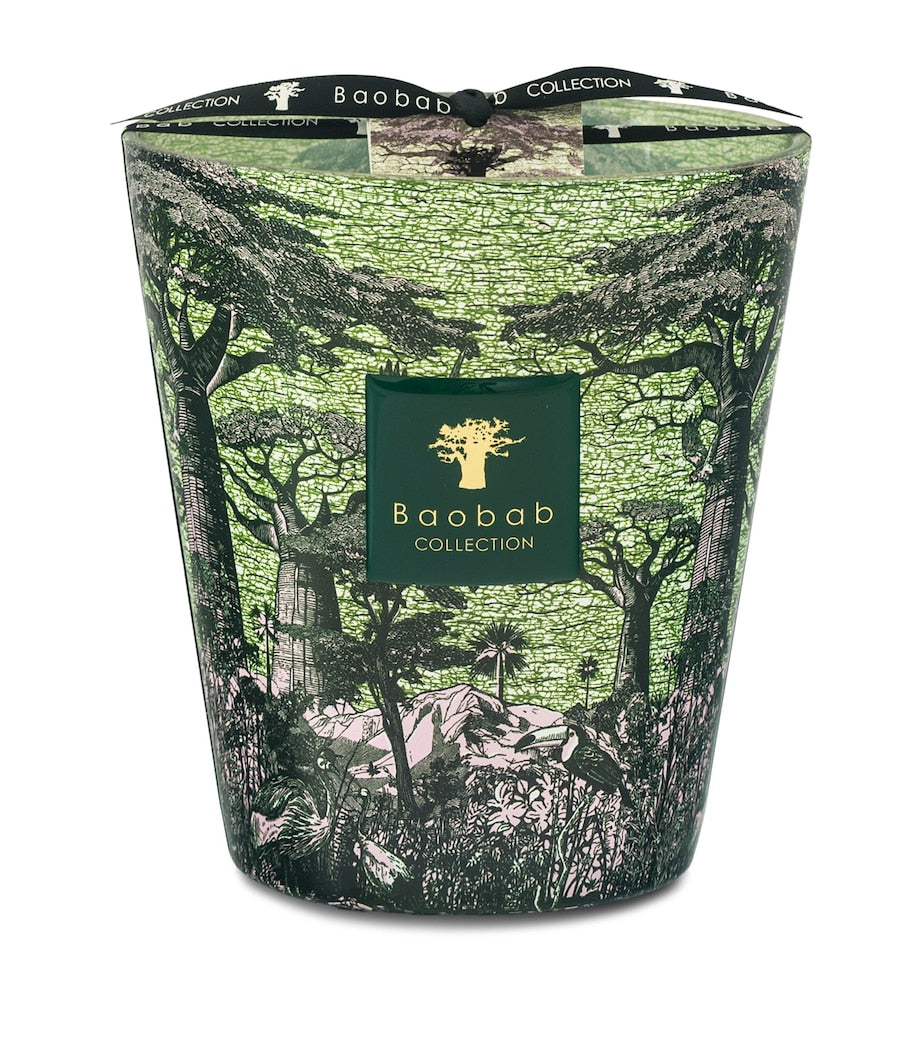 Sacred Trees Touba Candle (1.1kg)