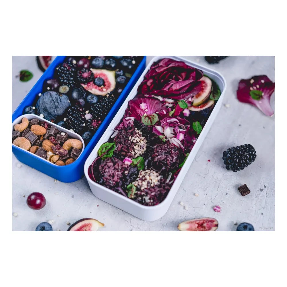 Monbento - MB Original Bento with 2 Airtight Compartments | Black