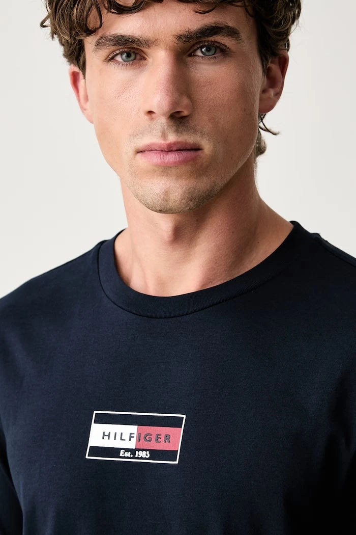 Tommy Hilfiger erkek pamuklu tişört