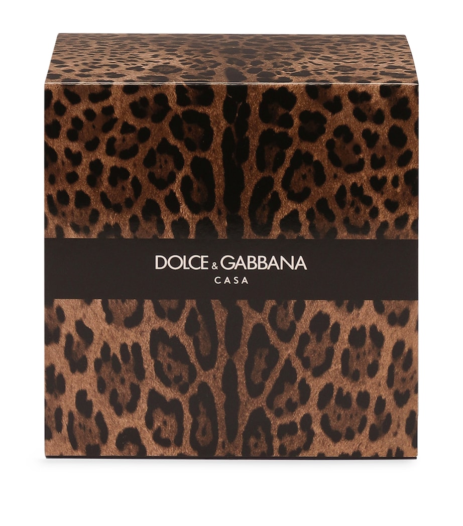 Dolce & Gabbana Casa Leopardo Patchouli Candle (380g)