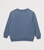 Cotton Dinosaur Sweatshirt (2-5 Years)