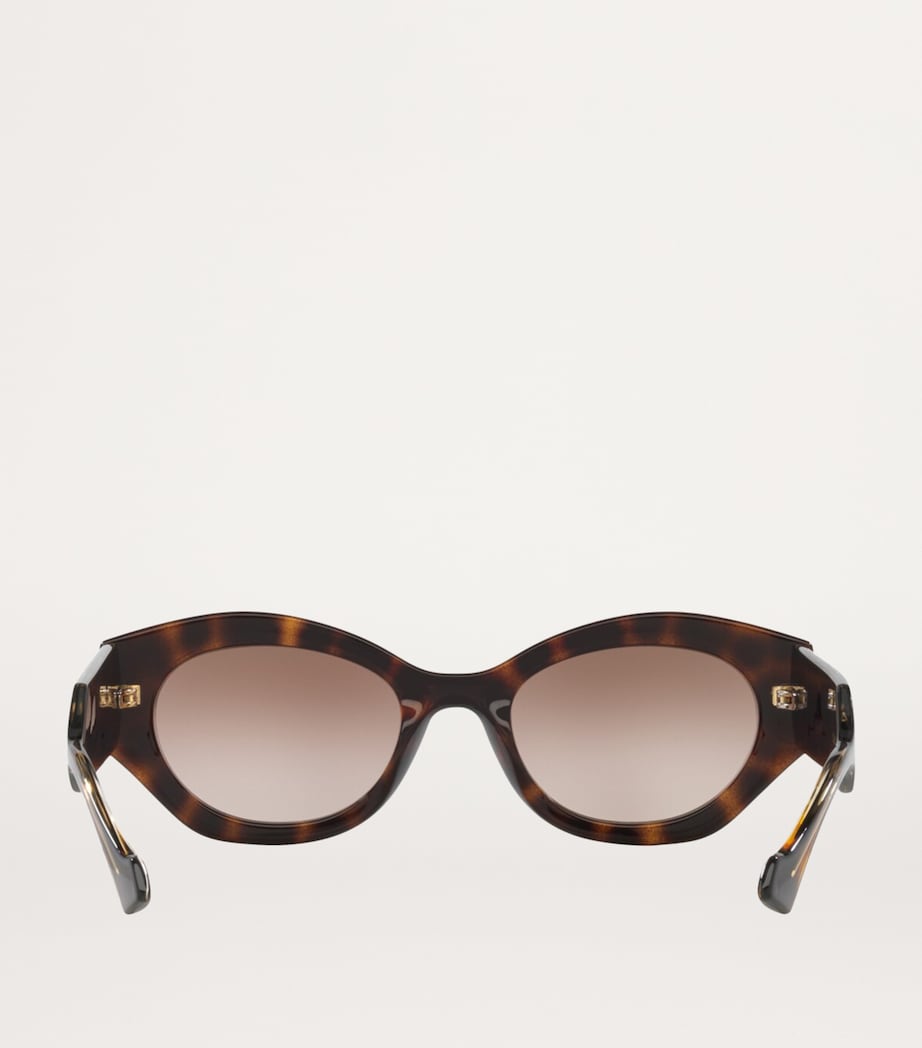 Brown Injected Oval Sunglasses