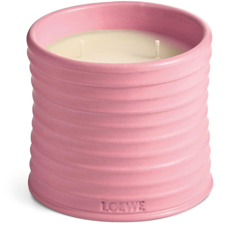 LOEWE Medium Ivy Candle (610g)