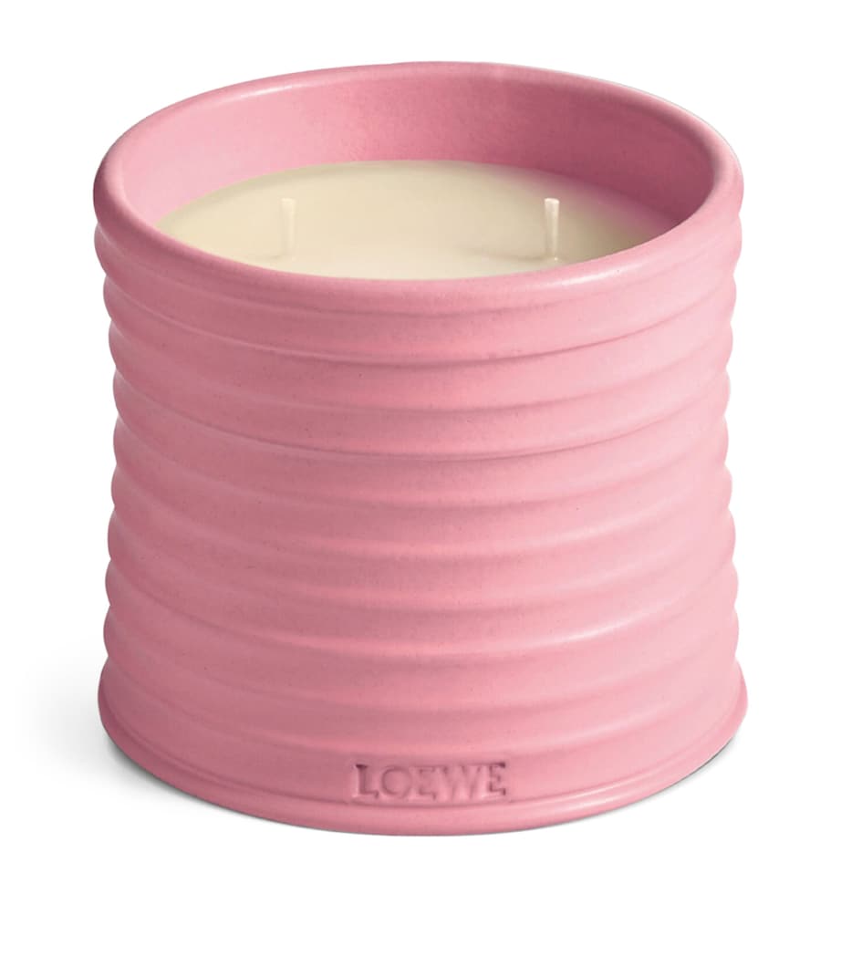 LOEWE Medium Ivy Candle (610g)