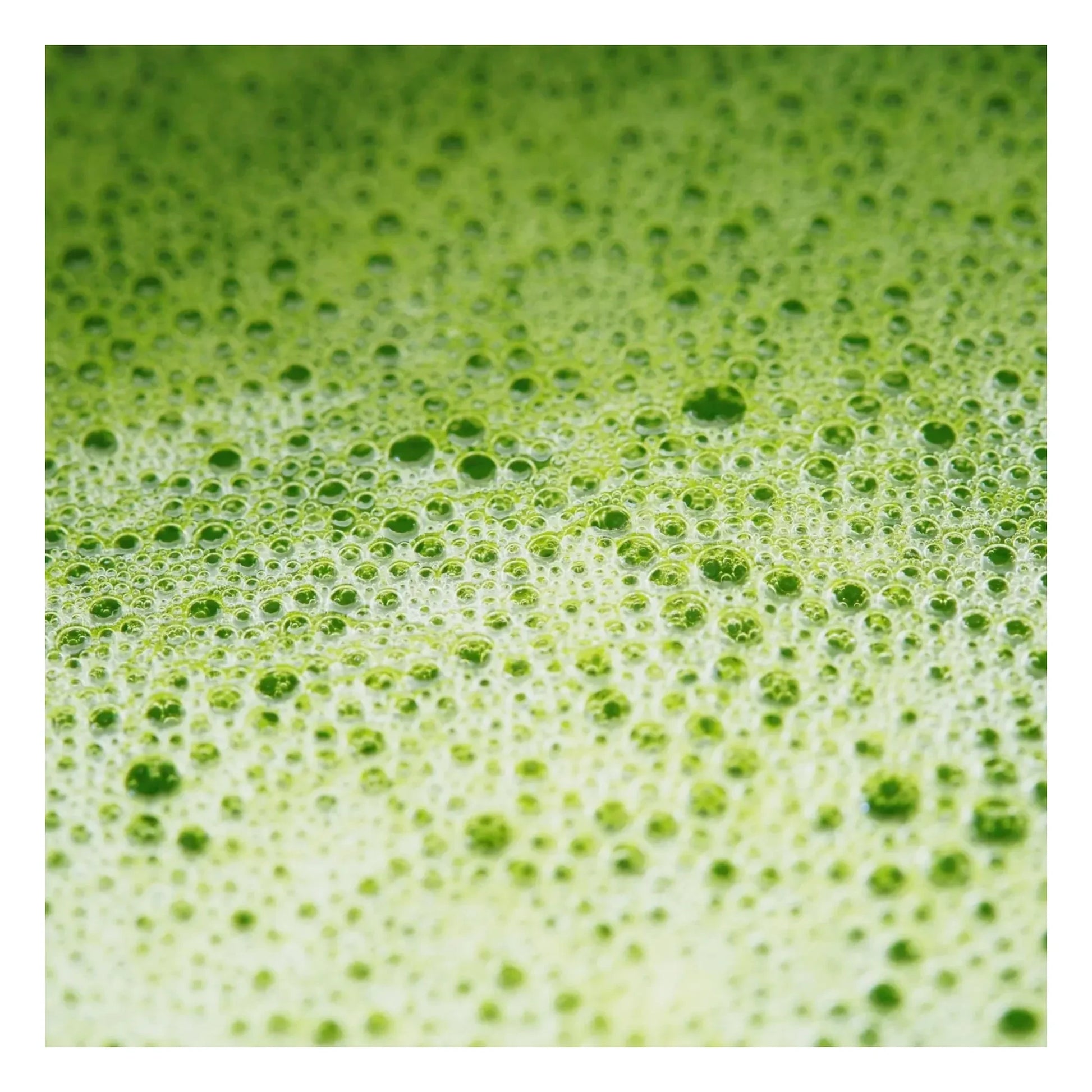 MiYé - Matcha latte essential metabolism booster - 146g
