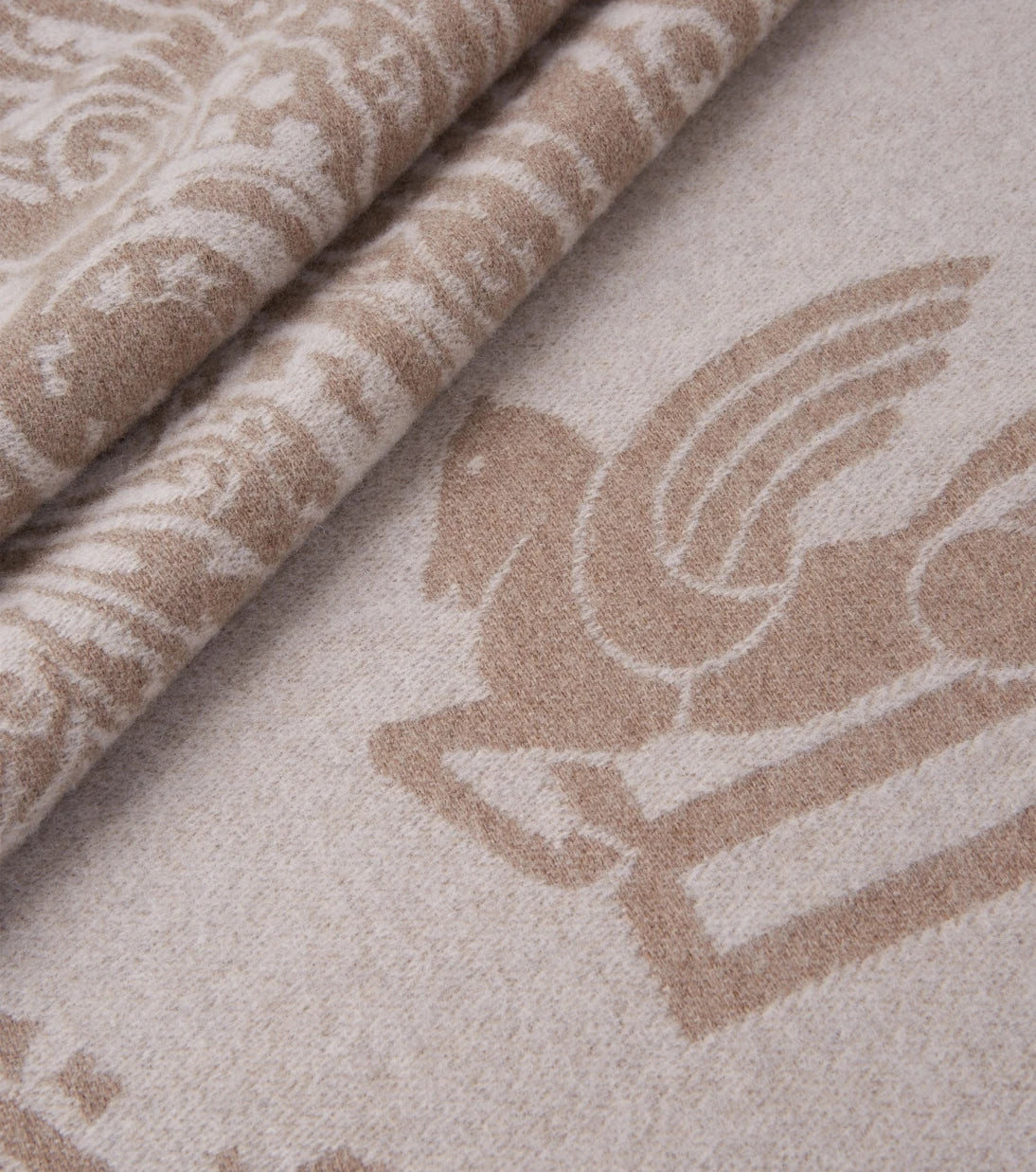 Etro - Alocasia fringed wool throw