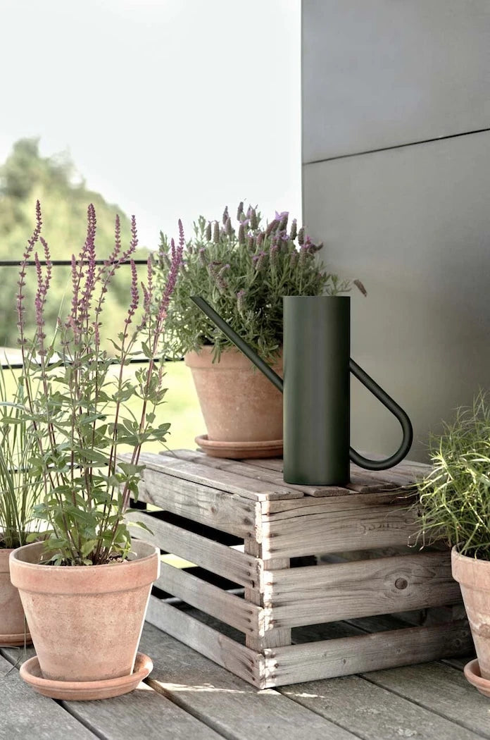Stelton Bloom Flower Bahçe Sulama Kabı