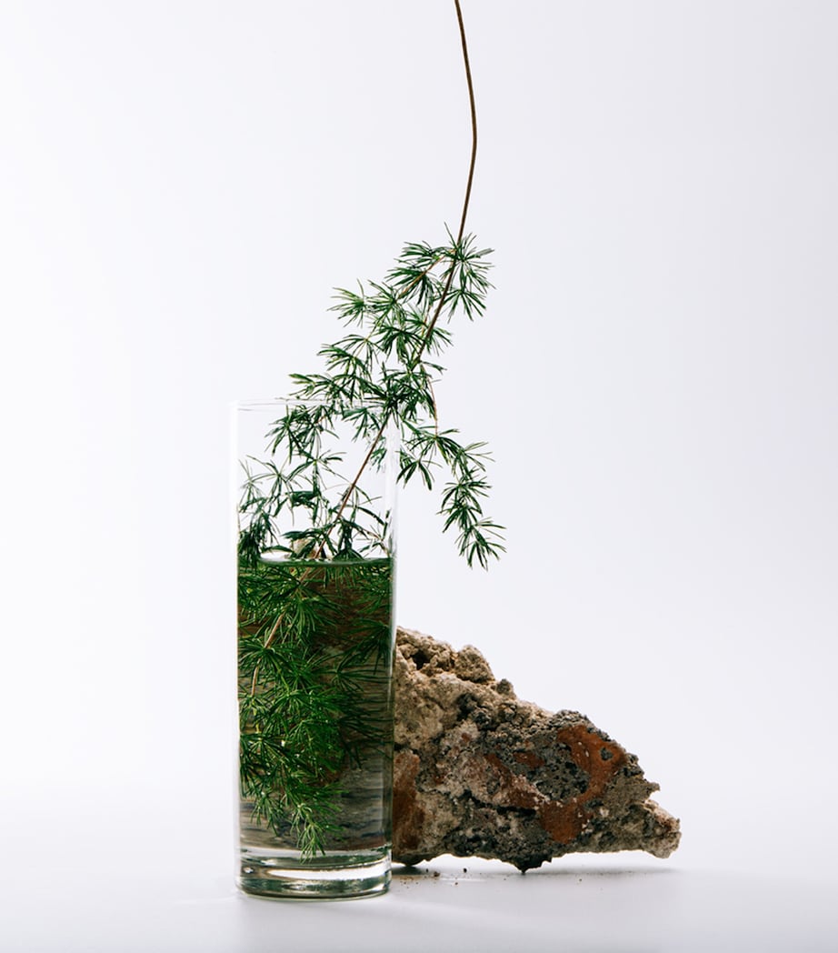 Solo Cedro Eau de Toilette (100ml)