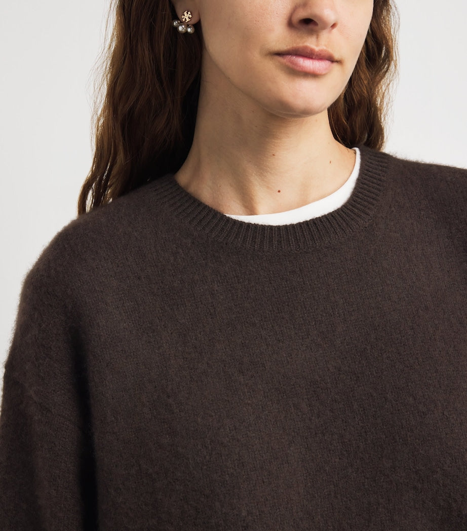 FRAME The Cashmere Brushed Sweater