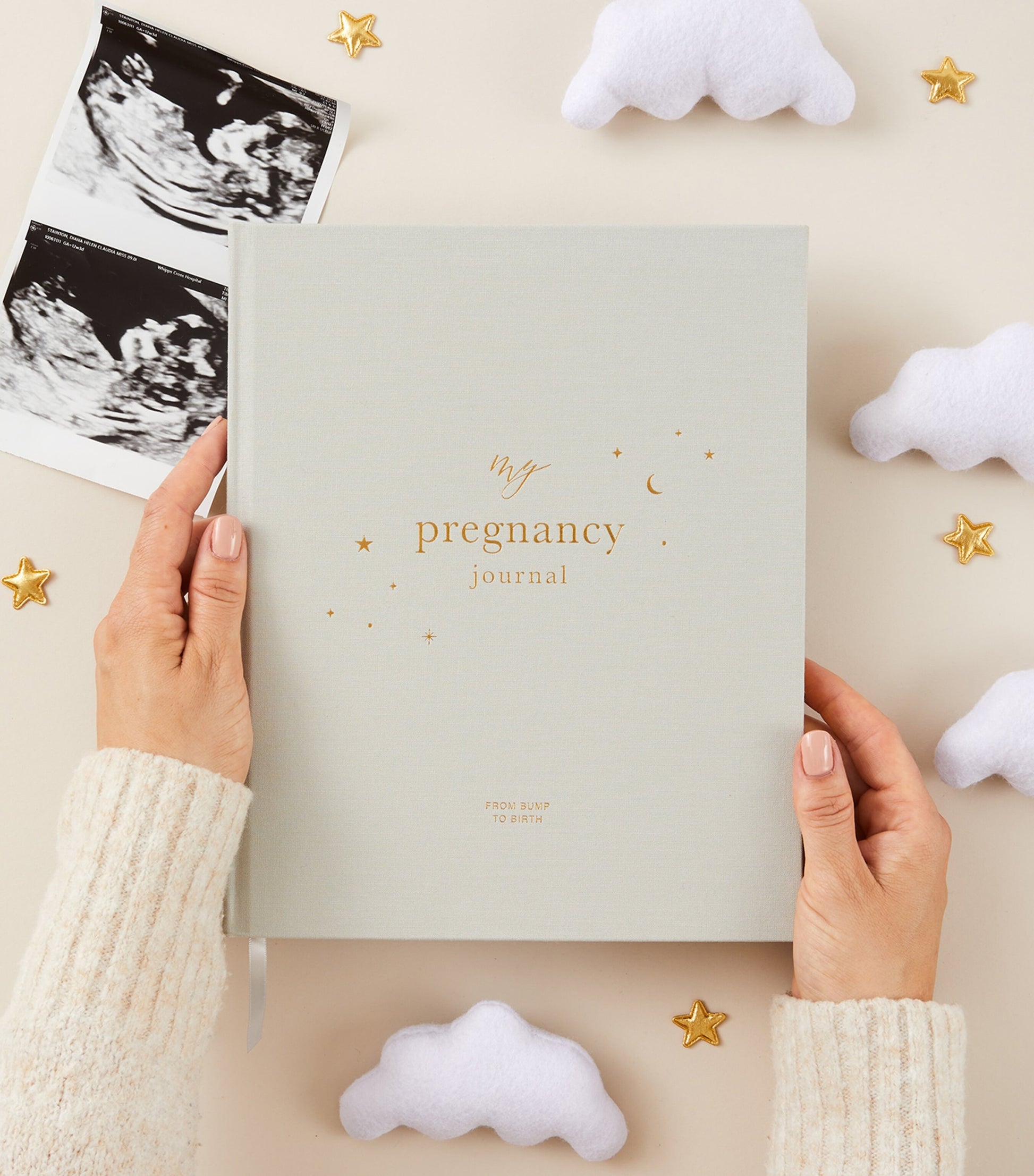 Blush and Gold My Pregnancy Journal