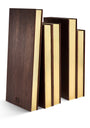 Library Bookends (Set of 2)