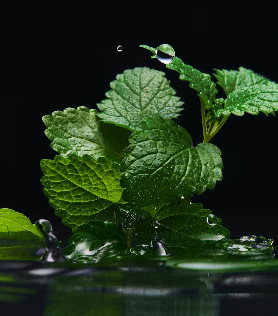 Dolce & Gabbana Velvet Black Patchouli Eau de Parfum (100ml)