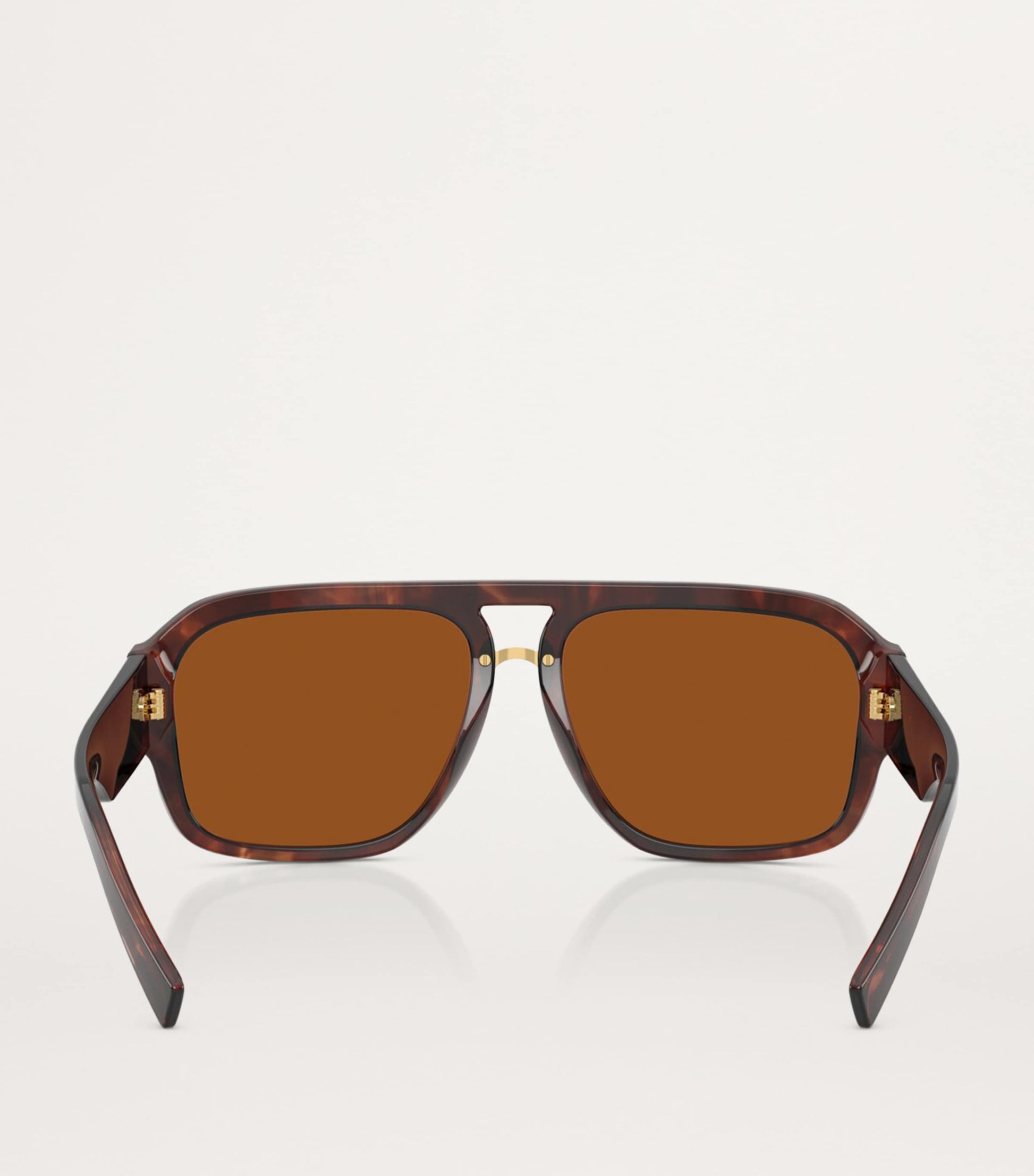 Acetate Pilot Sunglasses
