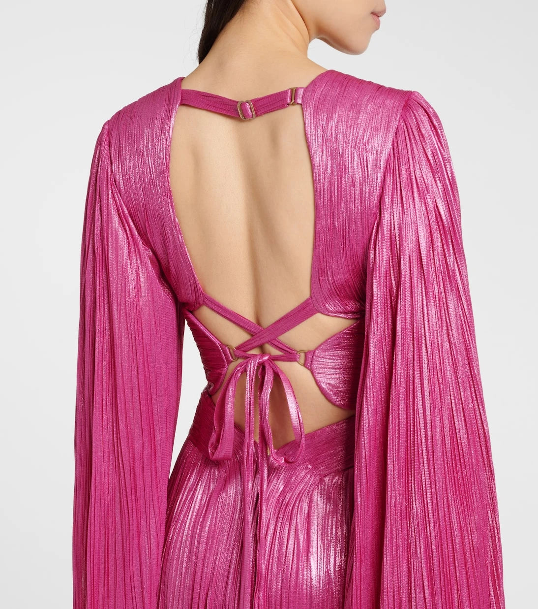 Maria Lucia Hohan - Crystal caped silk gown