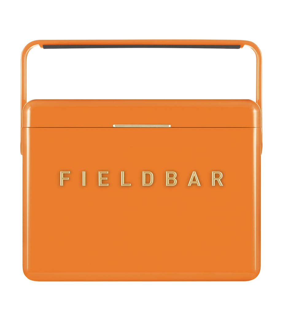 Mini Bar Cooler Box with Leather Sling (4L)