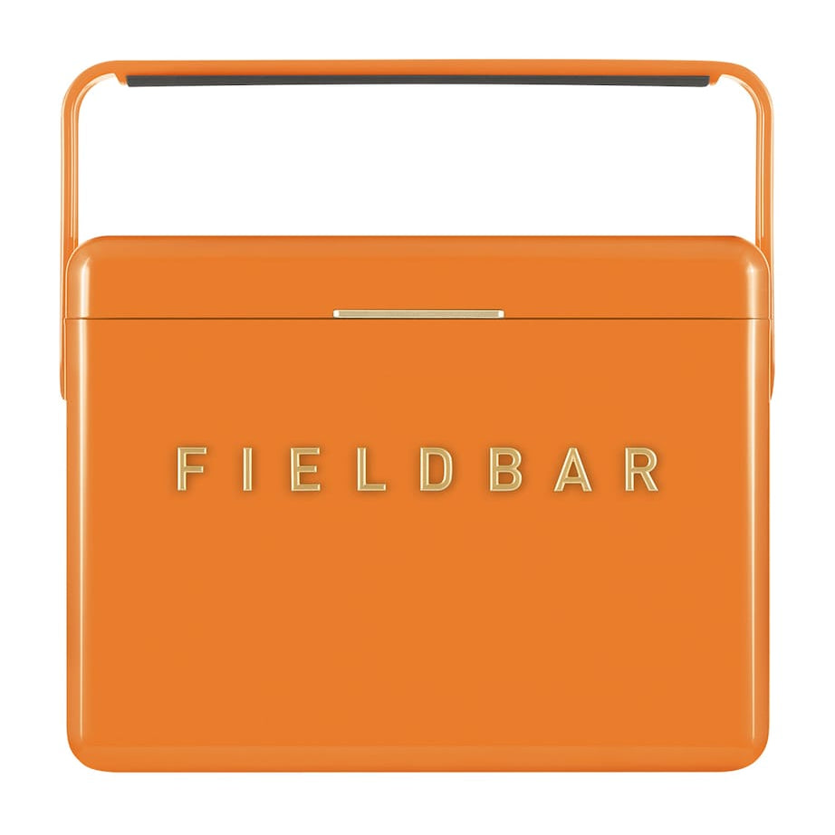 Mini Bar Cooler Box with Leather Sling (4L)