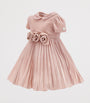 Velvet Rose Dress (3-36 Months)