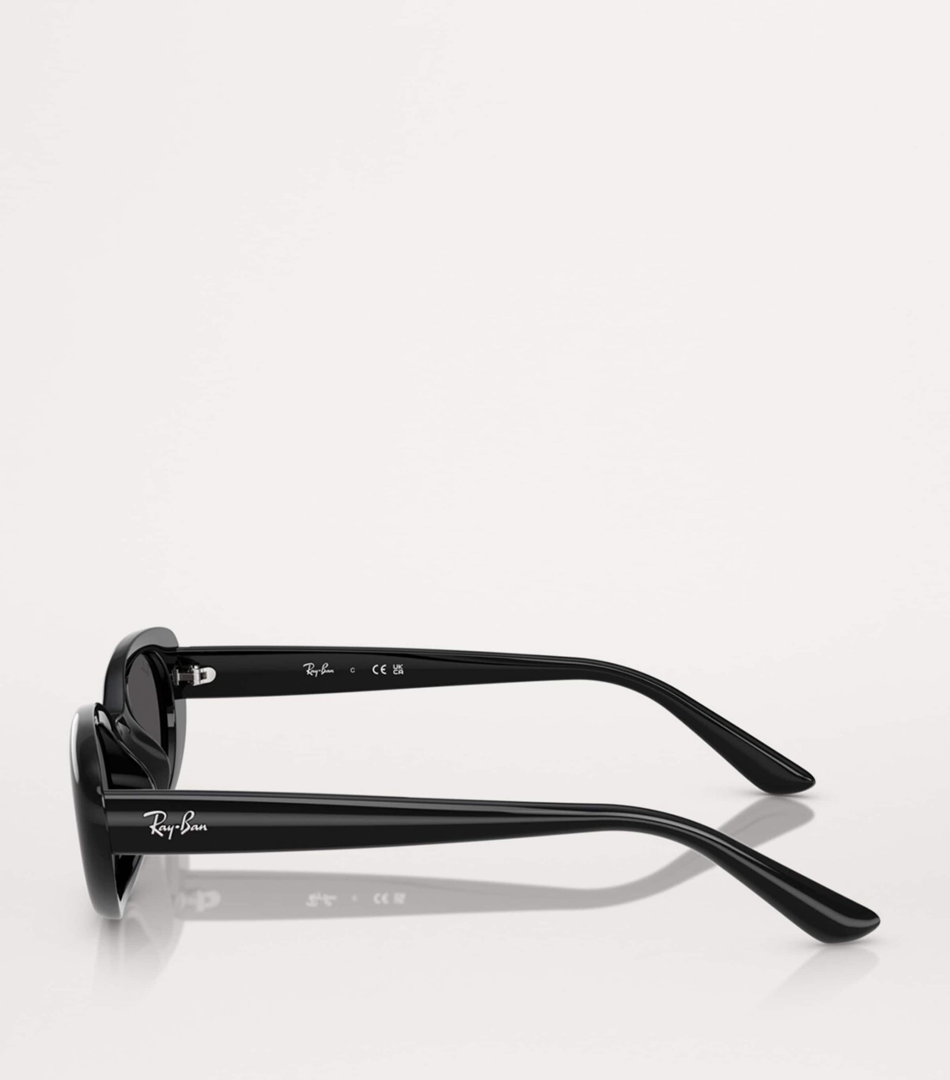 Ray-Ban Black RB4441D Sunglasses