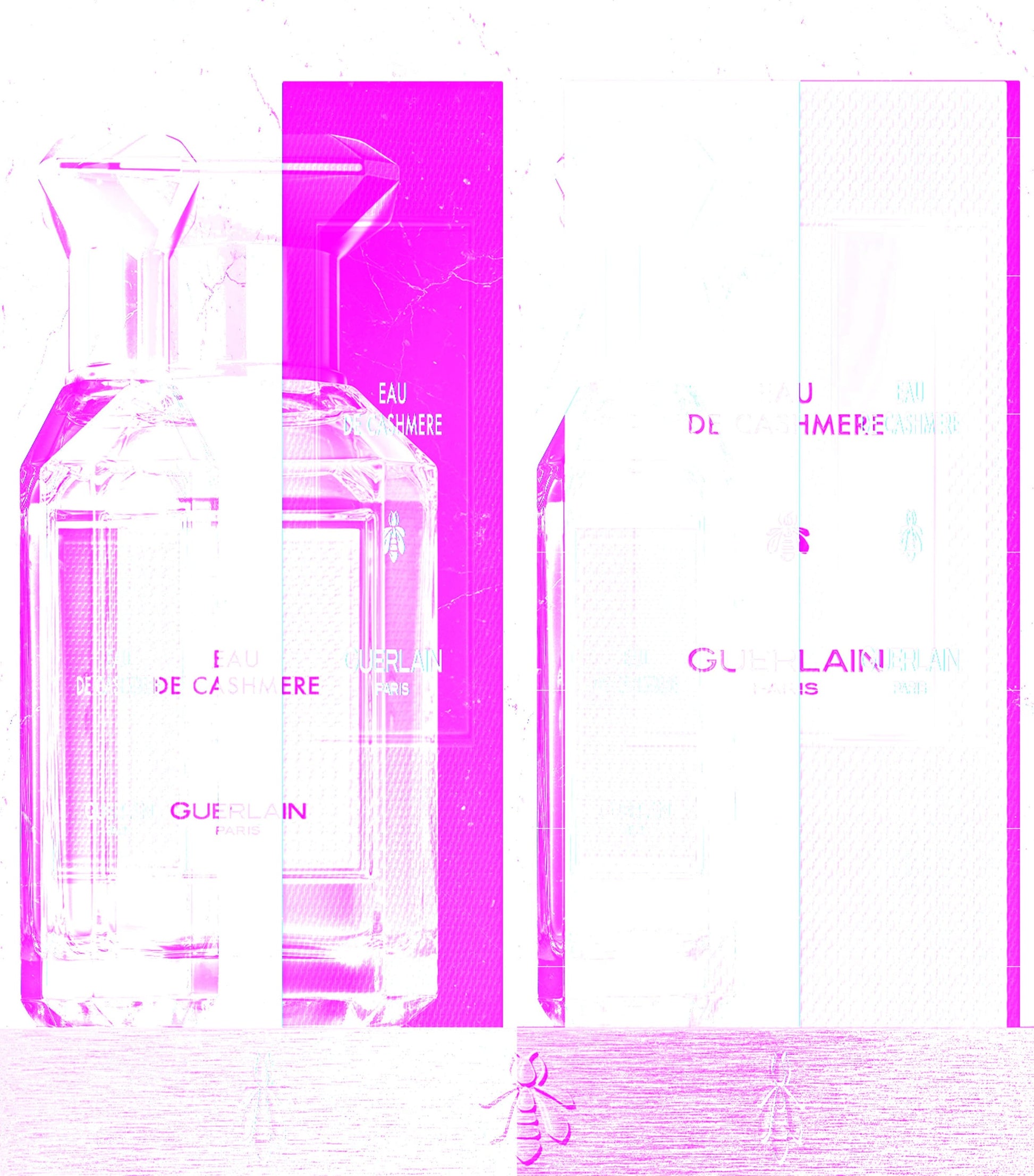 Eau de Cashmere Eau de Toilette (100ml)