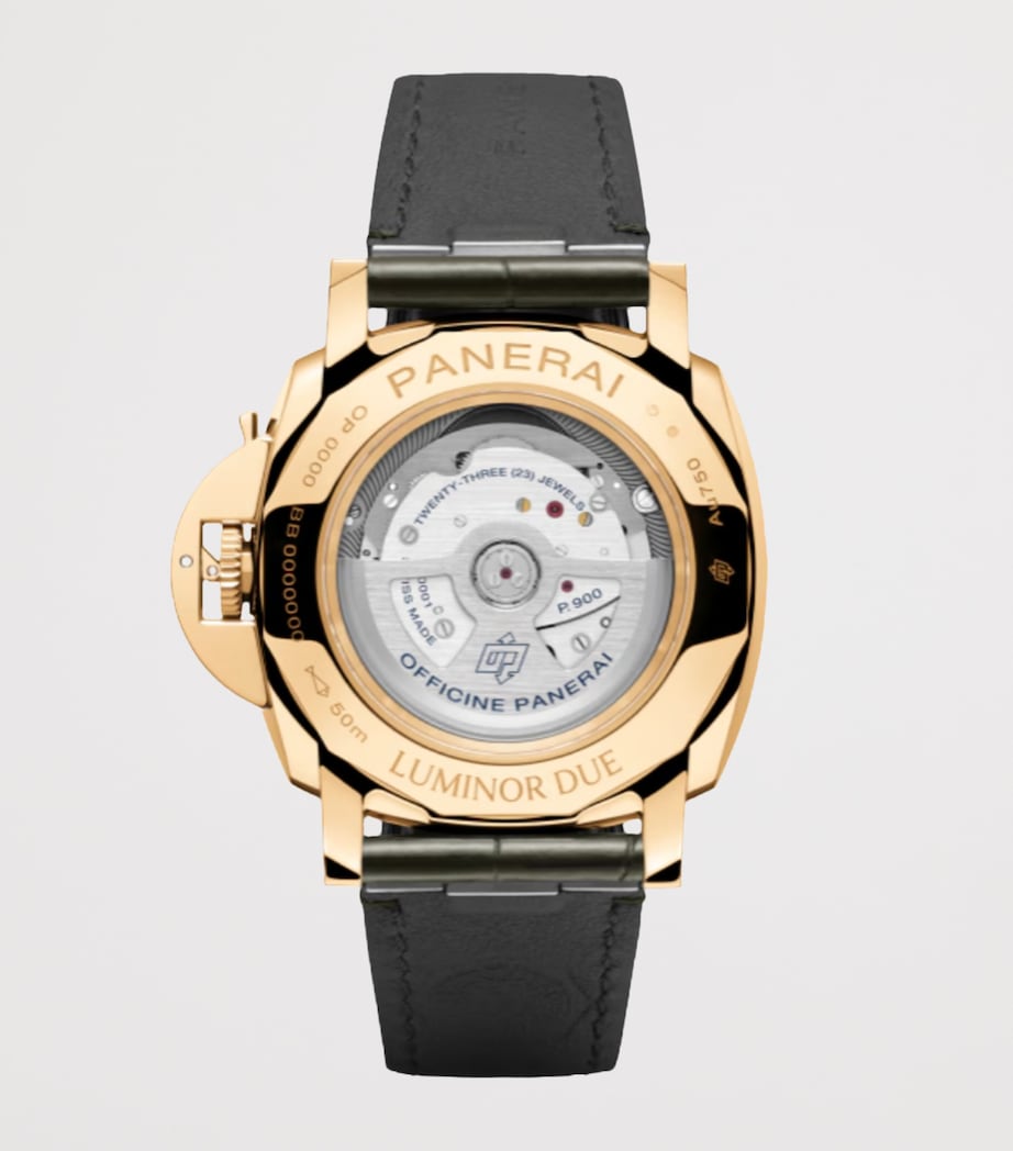 Yellow Gold Luminor Due Watch 42mm