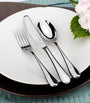 Mirrored Mulberry 84-Piece Cutlery Set