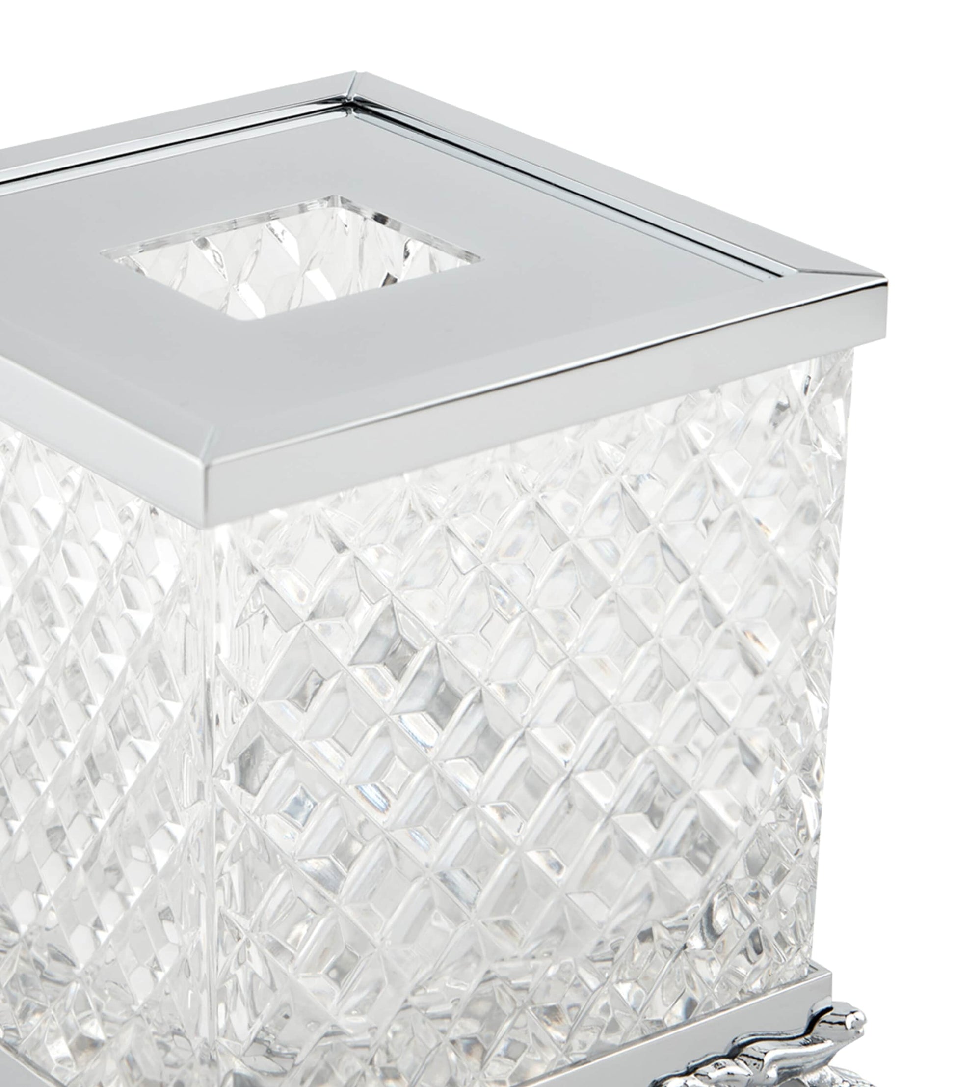 Lion Feet Tissue Box