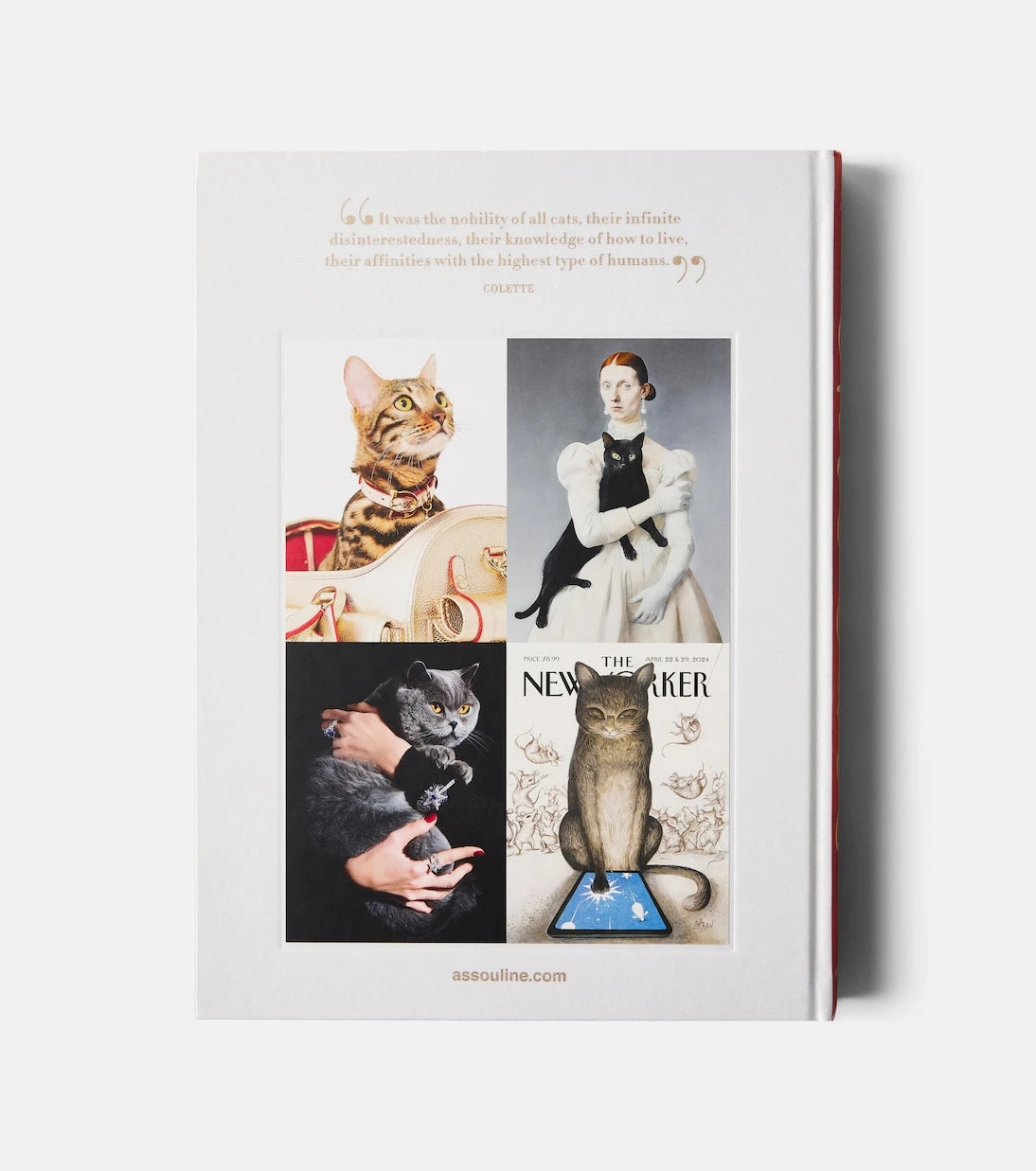 Assouline - Chic Cats book