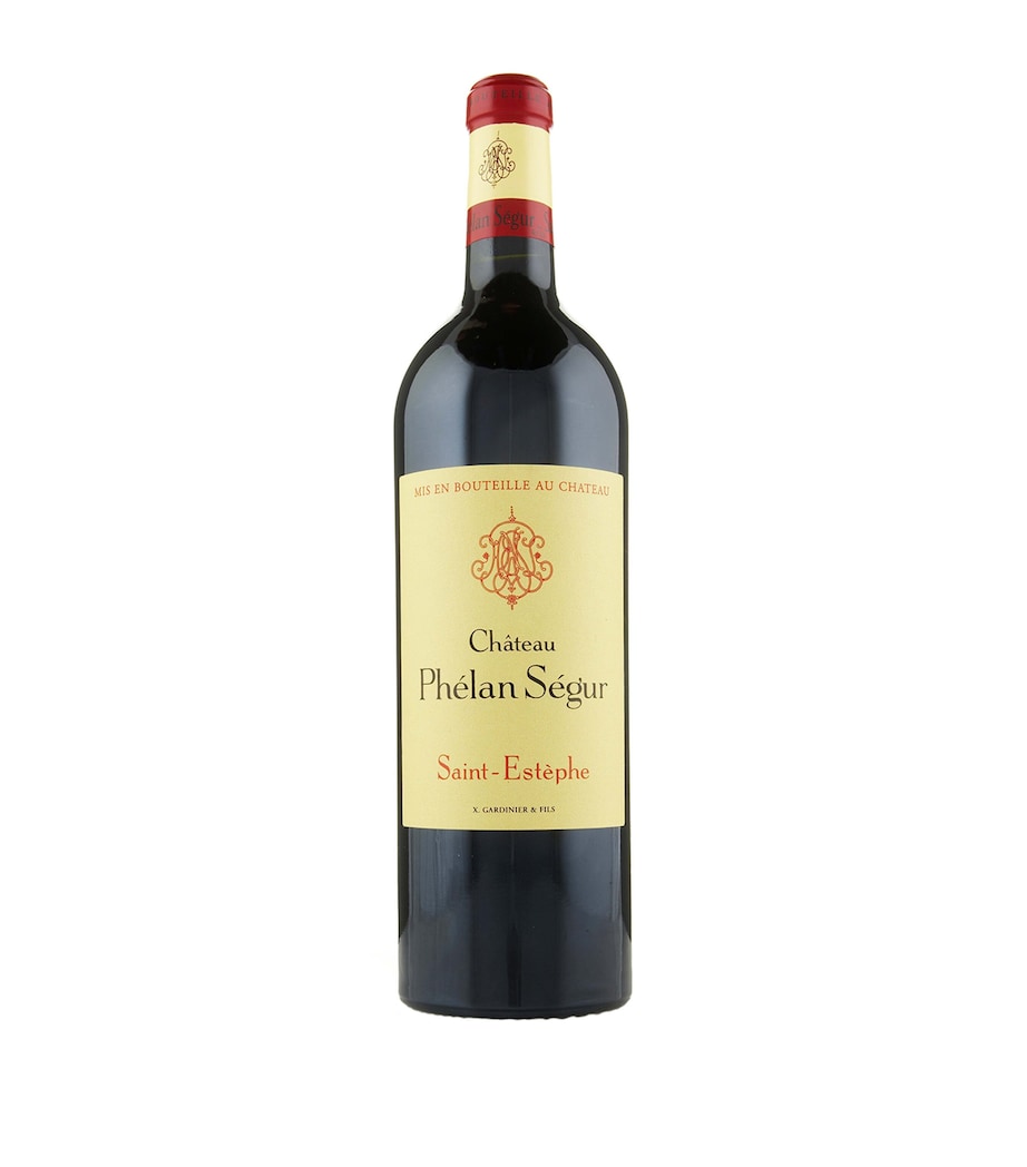 Château Pélan Ségur Chateau Phelan Segur 2016 (75cl) – Bordeaux, France