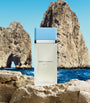Dolce & Gabbana Light Blue Eau de Toilette (30ml)