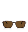 Ray-Ban Brown RB2231 Raimond Sunglasses