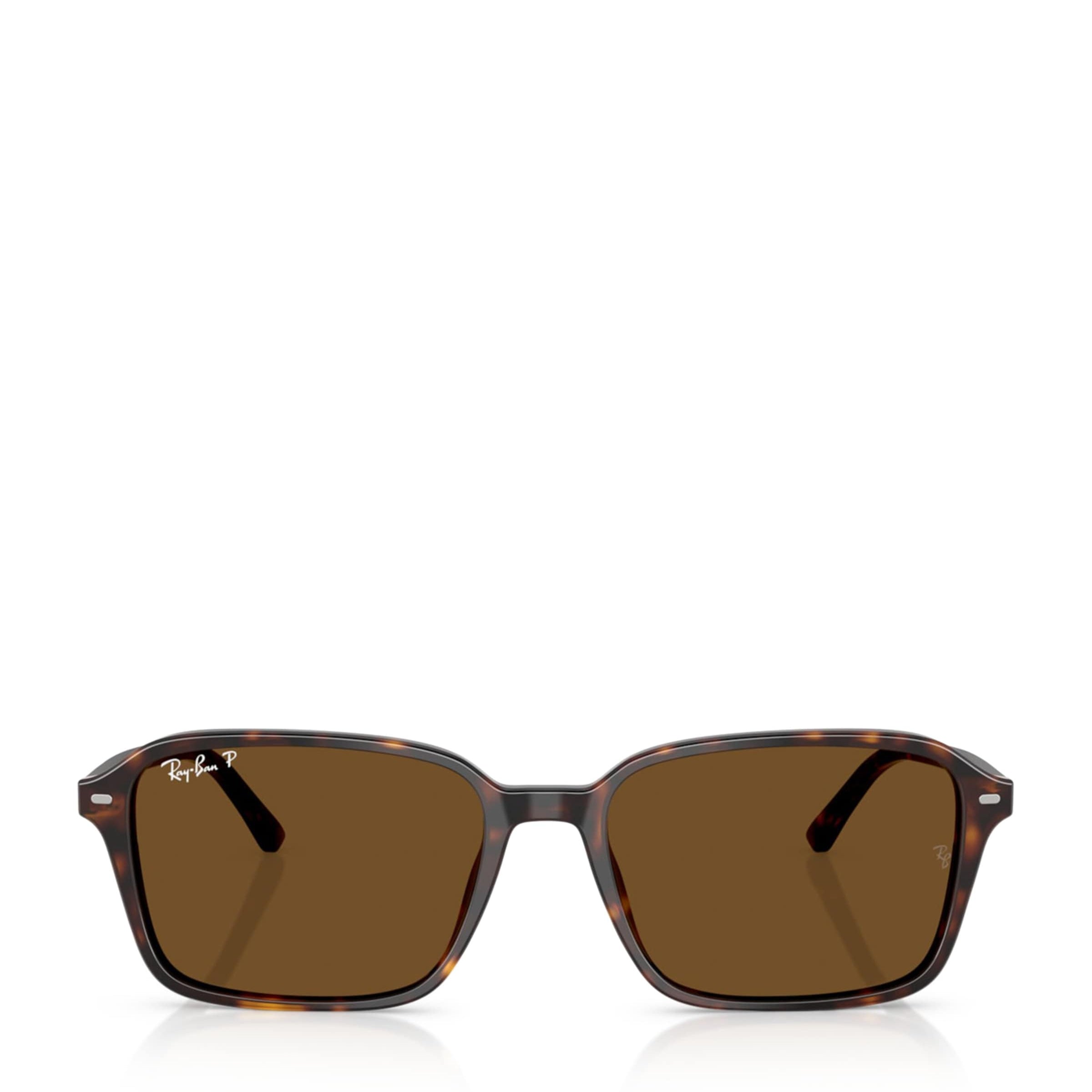 Ray-Ban Brown RB2231 Raimond Sunglasses