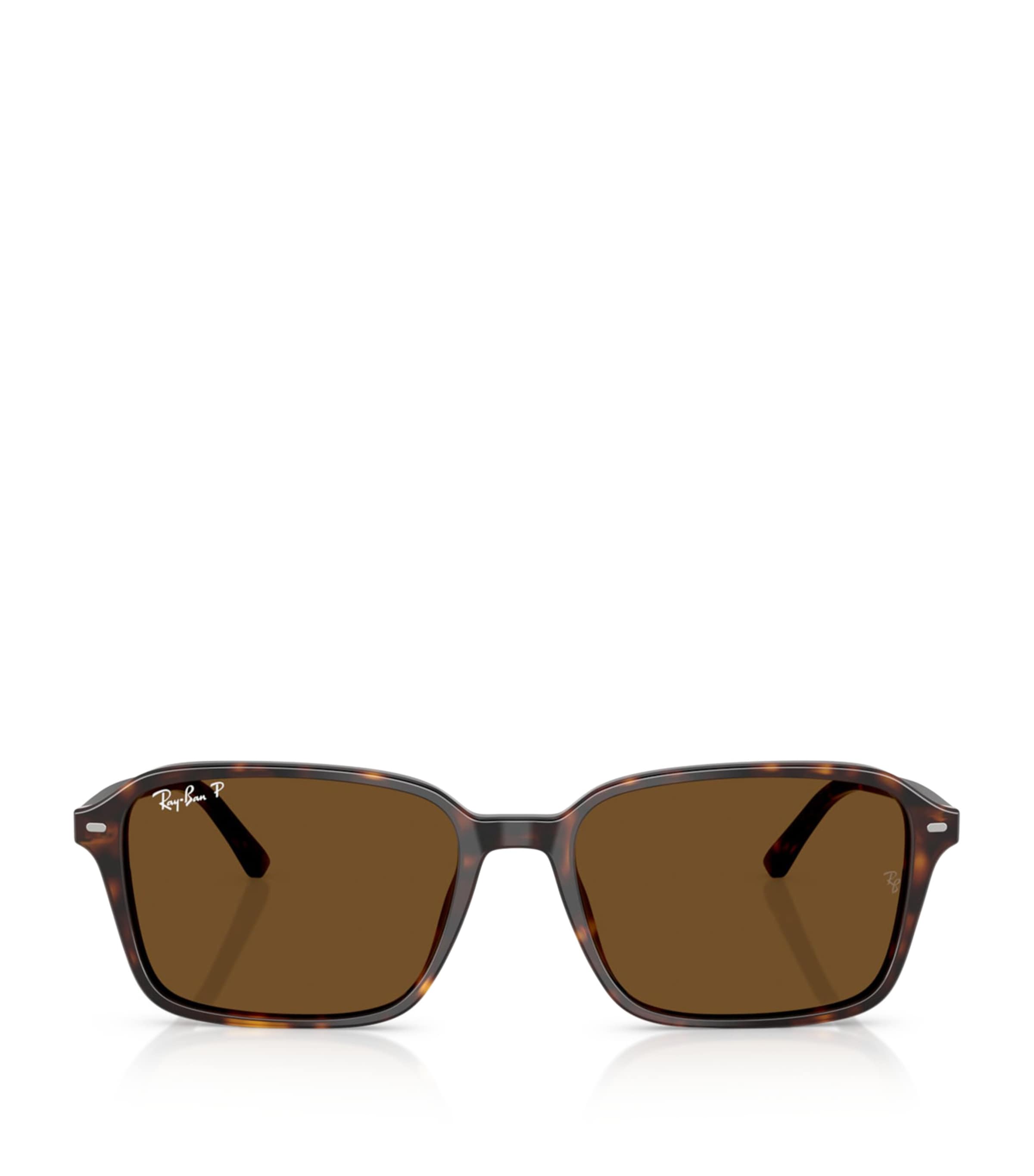 Ray-Ban Brown RB2231 Raimond Sunglasses