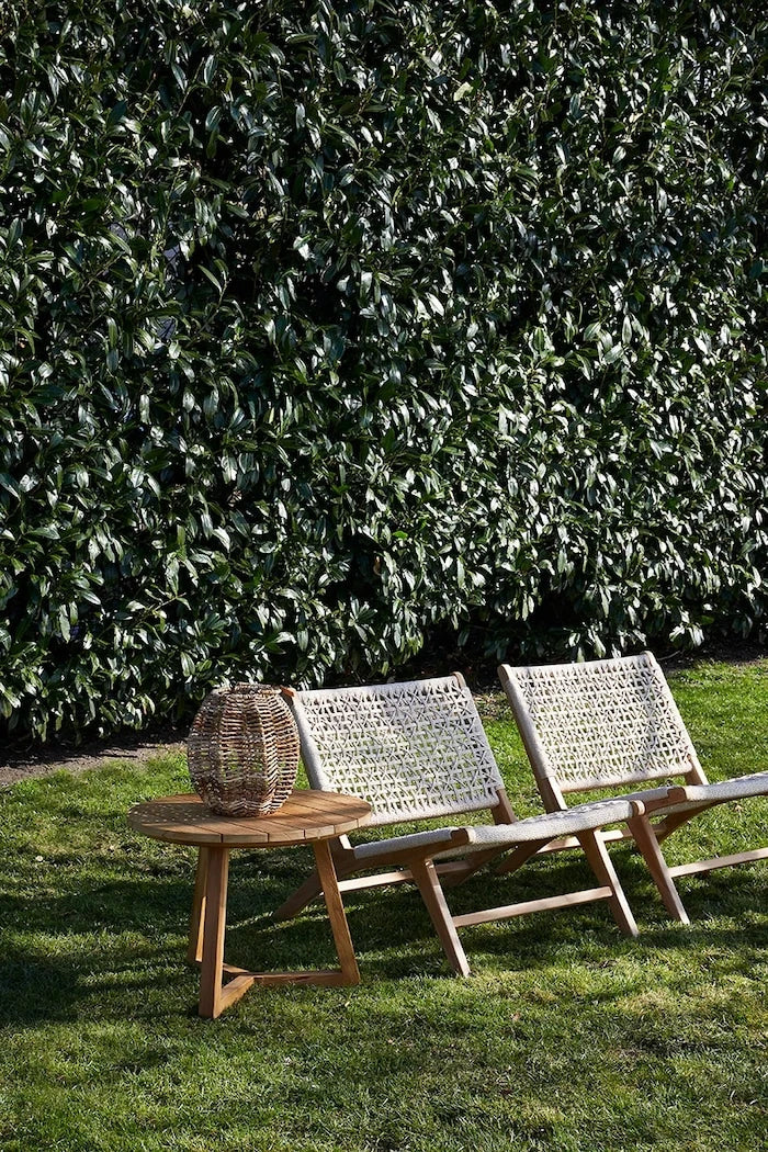 Riviera Maison Tik Ağacından