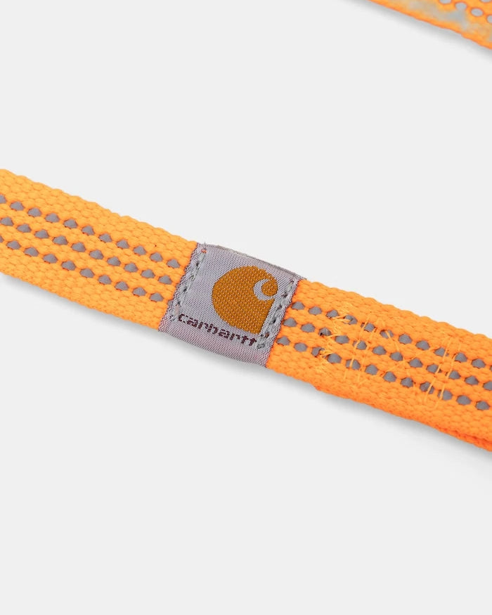 Carhartt WIP köpek tasması S