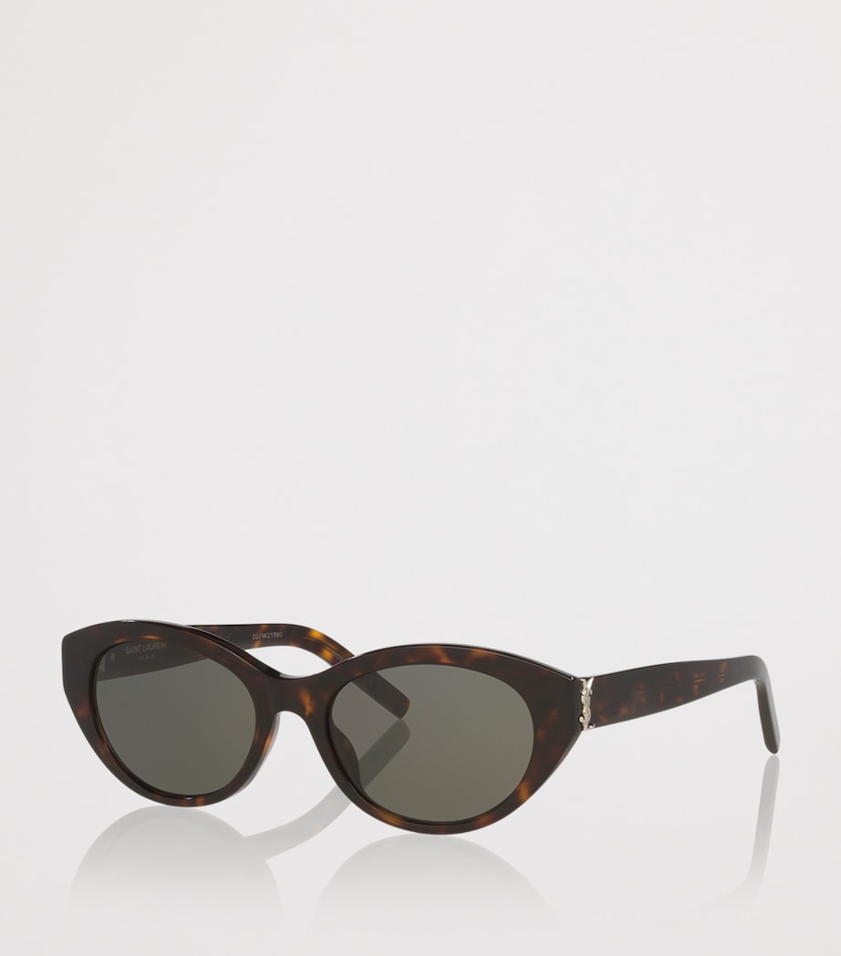 Saint Laurent Brown Acetate Round Sunglasses