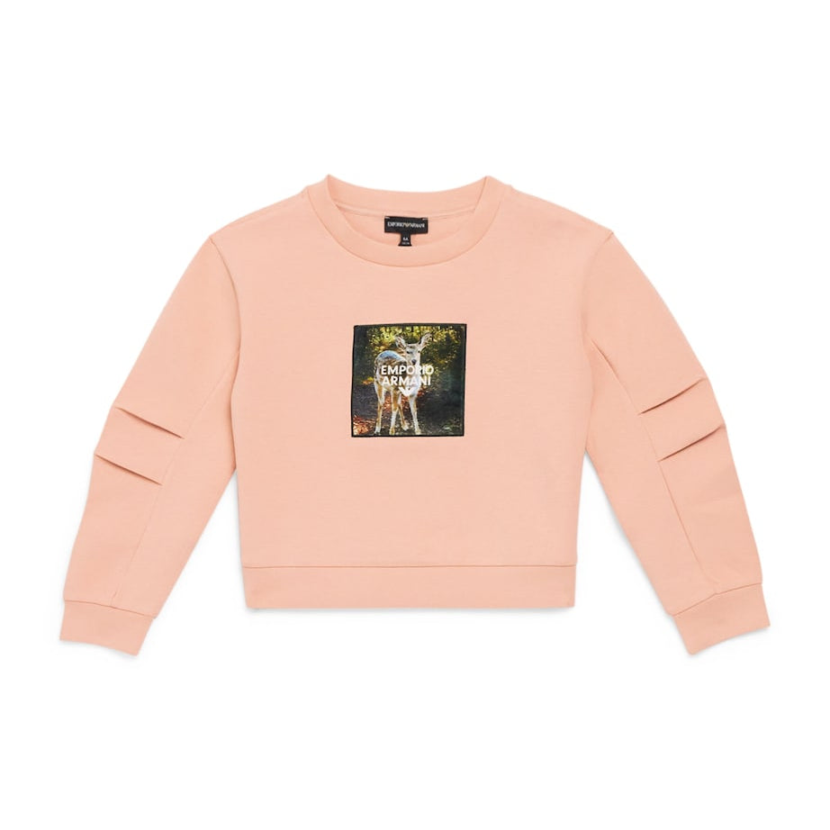 Emporio Armani Kids Printed Sweatshirt (4-14 Years)