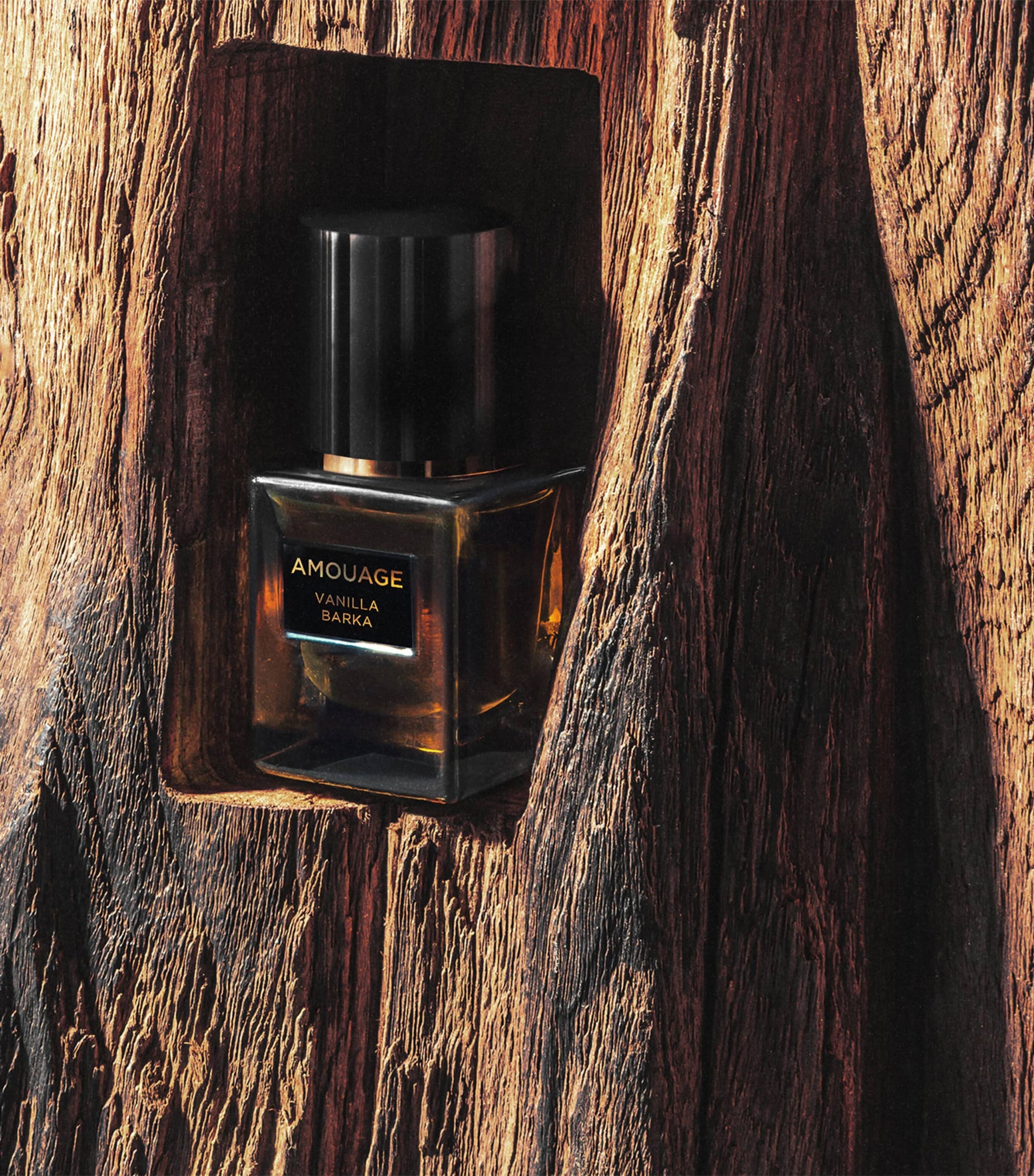 Vanilla Barka Perfume Oil (12ml)