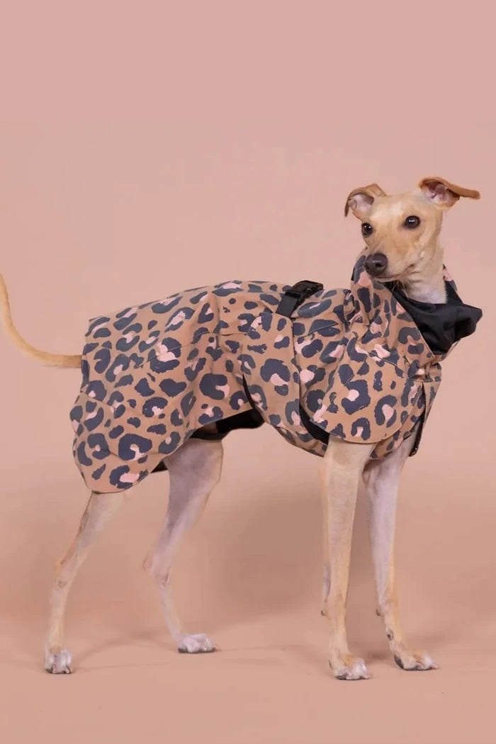 Кучешки дъждобран PAIKKA Visibility Raincoat 48 x 38 x 0,9 cm