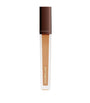 Vanish Airbrush Concealer