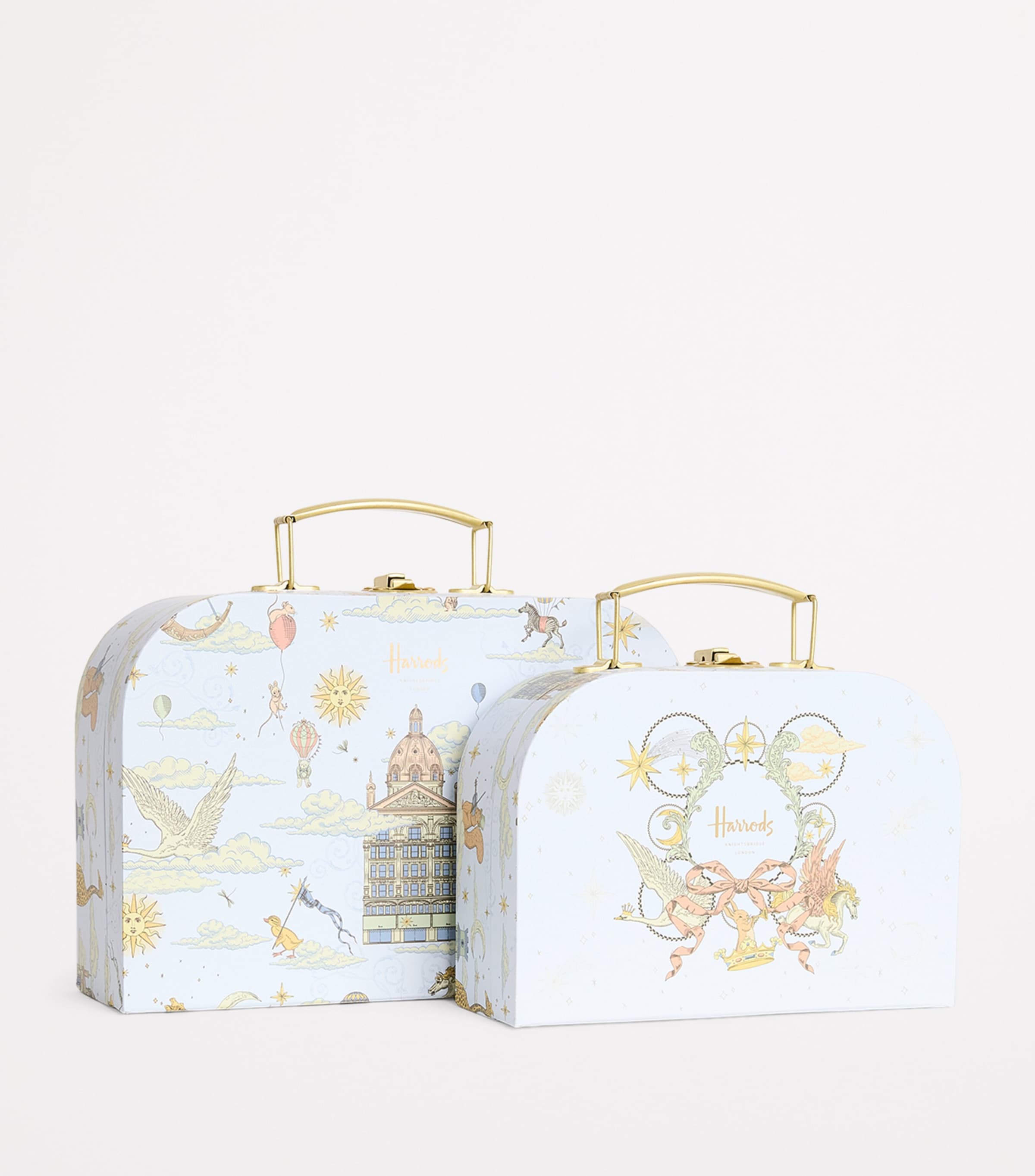 Set of 2 Carry Cases