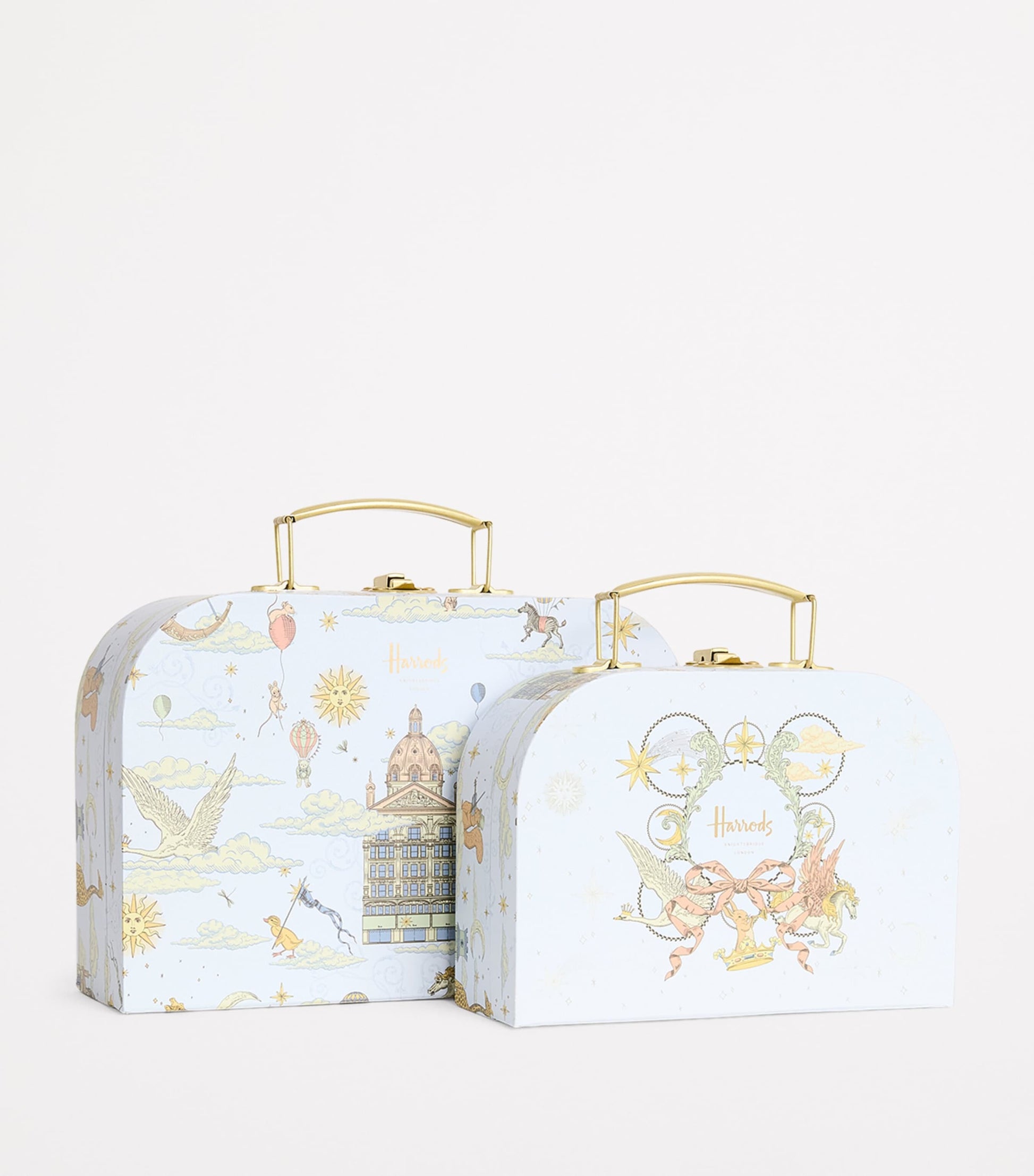 Set of 2 Carry Cases