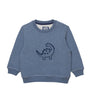 Cotton Dinosaur Sweatshirt (3-24 Months)