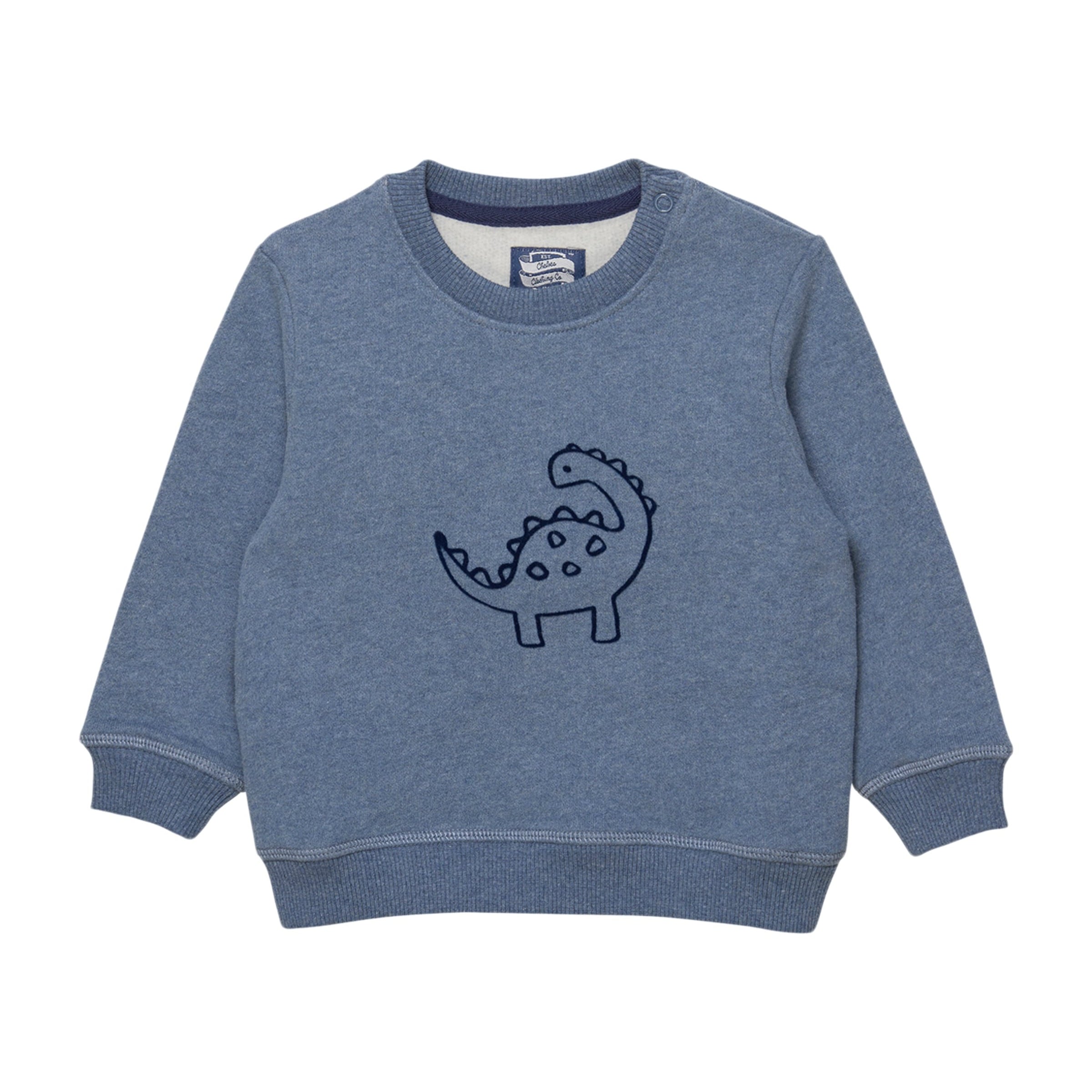 Cotton Dinosaur Sweatshirt (3-24 Months)